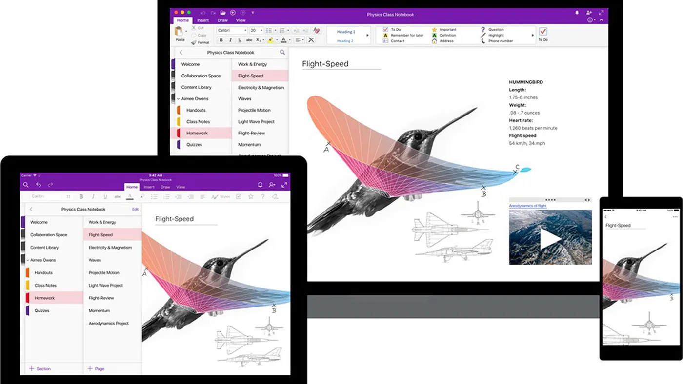 محیط Microsoft OneNote در مک + دانلود Microsoft OneNote با اپ استور مک ای زی
